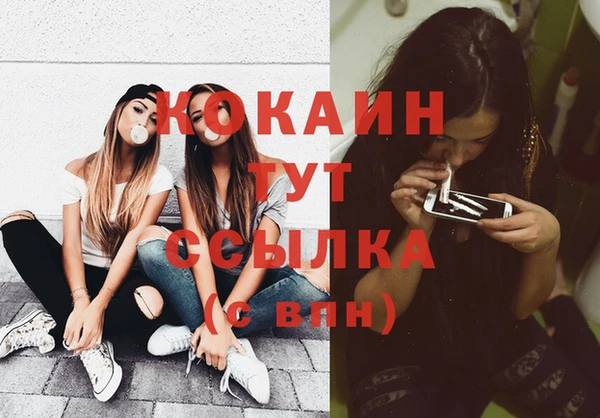 МДПВ Михайлов