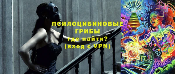 прущие крисы Медвежьегорск
