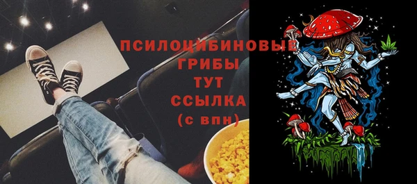 альфа пвп Беломорск