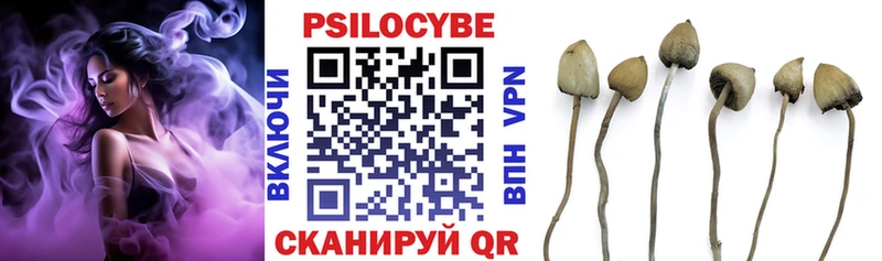 Псилоцибиновые грибы Cubensis  Бокситогорск 
